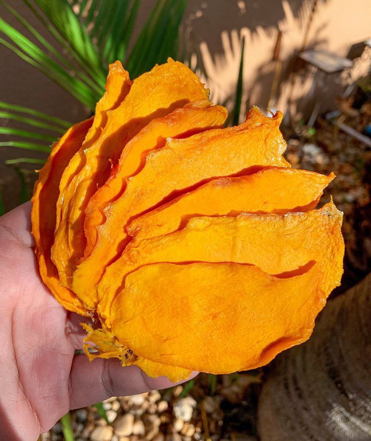 nutritional-value-of-mango